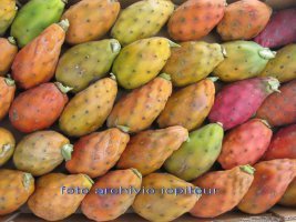 Tour of Sicily and Malta